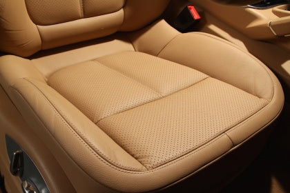 Special Leather Treatment
