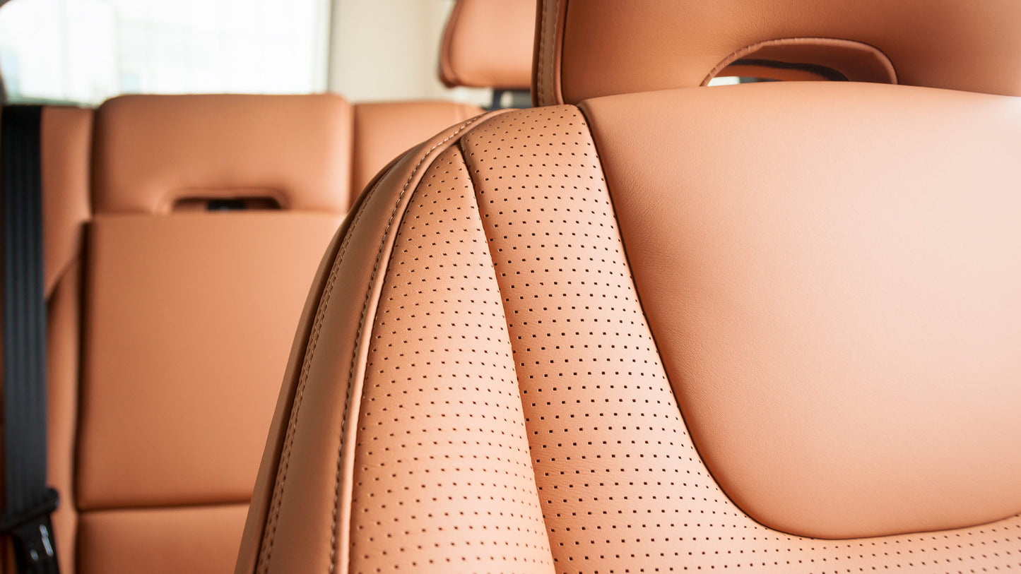 Special Leather Treatment
