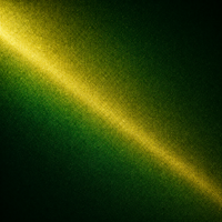 Green-Gold Chameleon