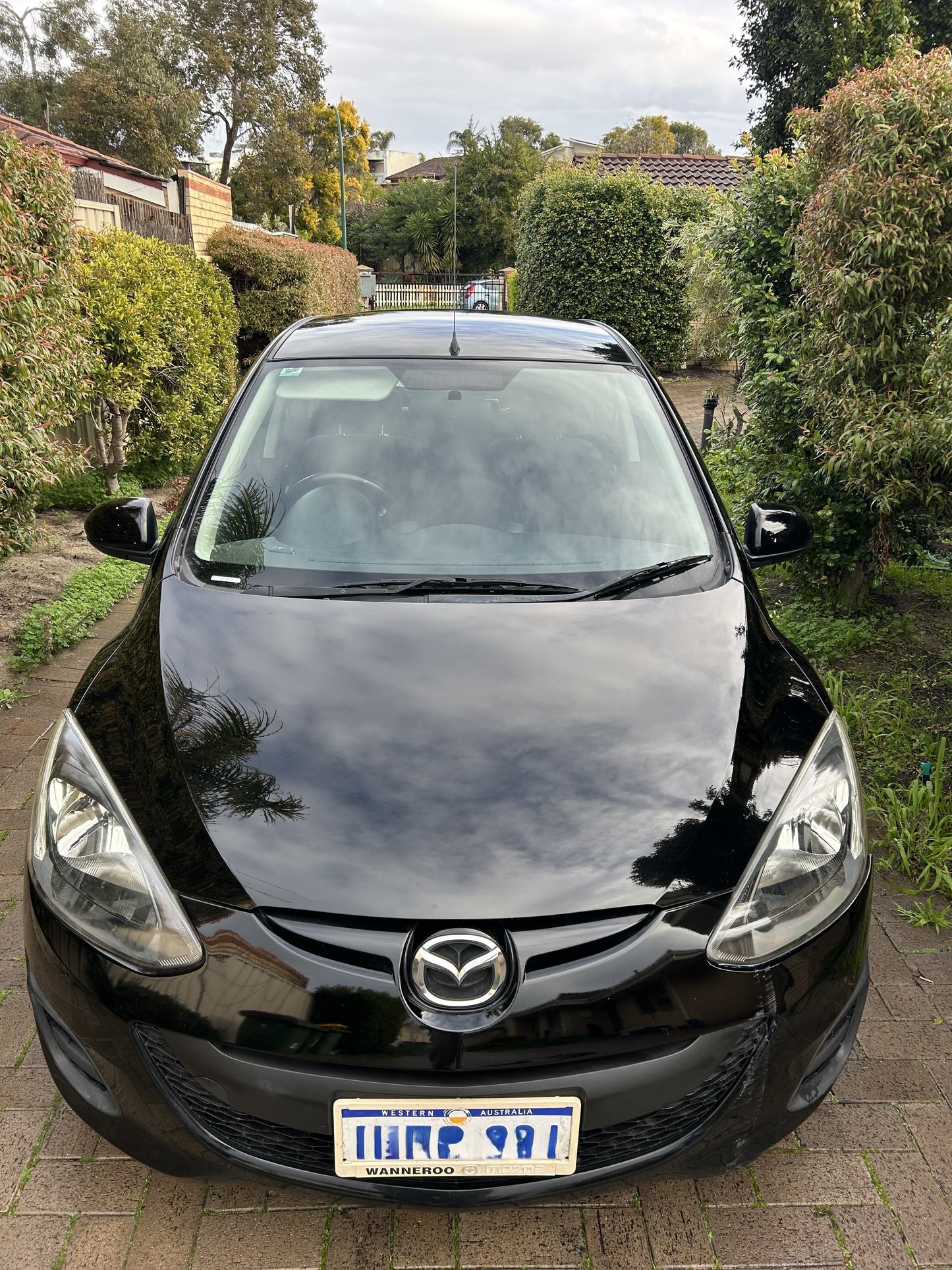 Premium Borophene Ceramic Coating